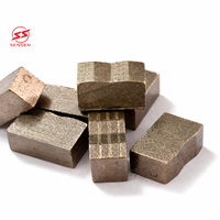 SS-S033 Pièces d'outillage industrielles fouries par l'usine, segments diamantés pour granit 24*13/14*8.6/9.2mm pour lame de scie simple avec surface polie