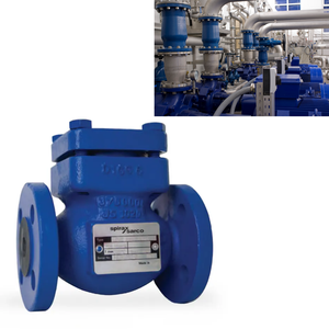 Vannes anti-retour à disque et vannes sanitaires Spirax Sarco, disponibles dans une large gamme de matériaux, avec application pour pompes et siphons. - Product Image 2
