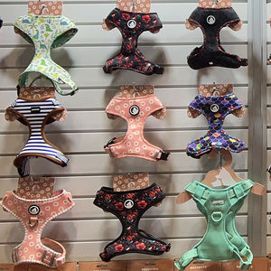 Suministros para mascotas, conjunto de collar y correa de arnés de perro de poliéster de neopreno para perros pequeños y medianos, chaleco para correr al aire libre - Product Image 1