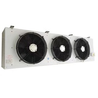 Chambre Froide Congélateur 0~5°C avec Conteneur Solaire Copeland pour Stockage de Pizza, Fromage, Pomme, Menthe, Romarin, Banane, Pain