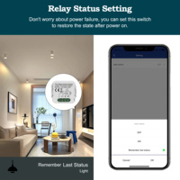 GIRIER Tuya Módulo de Interruptor Zigbee Universal de 16A para Hogar Inteligente, Compatible con Control de 2 Vías, Relé de Interruptor DIY Retrofit