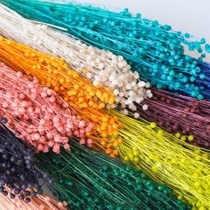 Tiges de haricot séchées pour bouquet de mariée, centre de table, garniture de vase, décoration intérieure, fournitures pour fleuristes et cadeaux de mariage - Product Image 3