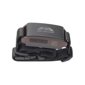 TK201 Coban GPS201 Baanool Net <b>GPS</b> Tracker Animal Dog Pet Cat Collar <b>GPS</b> Tracking Pet 2G+NB-iOT BN-201 - Product Image 2