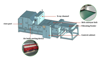 Röntgen-Sortiermaschine für Schrottmetall-Recyclinglinien