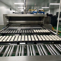 Chaîne de production industrielle de four tunnel à biscuits Four automatique de boulangerie électrique commercial d'équipement de cuisson à biscuits