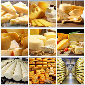 Máquina para hacer queso ORME Industrial <span class=keywords><strong>Halloumi</strong></span>, Mini planta de producción de queso, máquina de proceso de queso lácteo - Product Image 6