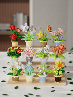Ensemble de blocs de construction de plantes en pot Daisy, 189 pièces, briques florales, modèle d'assemblage DIY, décoration de bureau