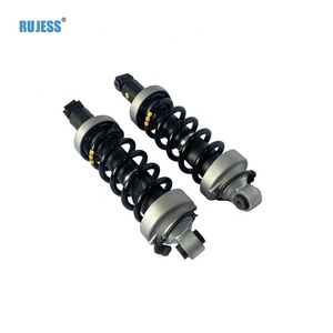 Hydraulische Schokdemper Coilover Schok Geschikt Voor <span class=keywords><strong>Audi</strong></span> R8 Achterste Luchtvering 420512019ag 420512020ag - Product Image 2
