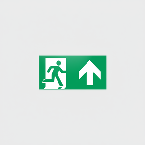 Uscita di emergenza segno freccia sinistra-125 in PVC luminescente * 300 mm - Product Image 2