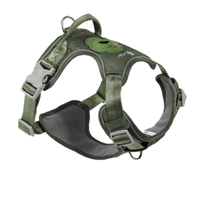 Kit de promenade réglable pour animaux de compagnie, harnais rembourré confortable pour chien, laisse assortie, collier pour chiot, chaton, petits animaux