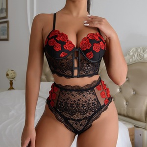 Ensemble de Lingerie Brodé en Dentelle pour Femmes, Soutien-Gorge Push-Up et Culotte, 2 Pièces, Vente en Gros - Product Image 3