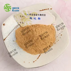 High Quality Chinese Produced Extract Wholesale Bulk Wolfberry Powder