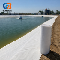 Revêtement composite géotextile et géomembrane de haute qualité anti-infiltration pour projet de lagune anaérobie de digesteur de biogaz