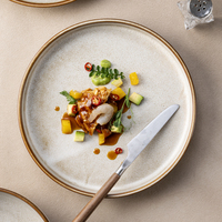 Assiettes en céramique réactive YAYU, fabriquées à la main, cuites à haute température, pour restaurants, traiteurs et fabricants.