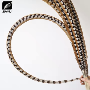 Oferta Especial Pluma de Cola de Faisán Reeves Natural de 60-120 cm para Decoración de Carnaval - Product Image 5