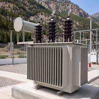 Transformador de Distribución de Energía con Núcleo de Acero CRGO, Bobinado de Cobre, Sumergido en Aceite, Proveedor de China