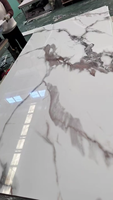 Panneau mural WPC imperméable anti-UV, alternative moderne au marbre, feuilles de PVC pour la décoration des murs de la salle de bain et de la maison