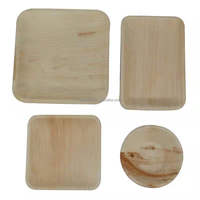 Assiettes jetables en feuilles de palmier de 10 pouces pour les fêtes, assiettes en feuilles de palmier compostables, respectueuses de l'environnement, ensemble d'assiettes biodégradables