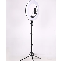 Lumière vidéo professionnelle, anneau lumineux à 21 LED, lumière de remplissage pour selfie et maquillage avec trépied