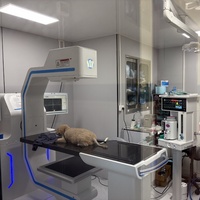Máquina de Tomografía Computarizada Veterinaria Vetoo DX-AUTO Plus, Baja Radiación, Fácil Instalación, Aplicaciones Versátiles, Potente Procesamiento de Imágenes