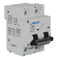 Interrupteur principal 2P DC 500V 750V 1000V 63A 80A 100A 125A pour système d'énergie solaire photovoltaïque, protection de disjoncteur multi9 PV dans la boîte de combinaison