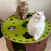 Lit pour chat en feutre aiguilleté écologique, forme de donut, tunnel confortable, nid pour chat pour jouer et se reposer