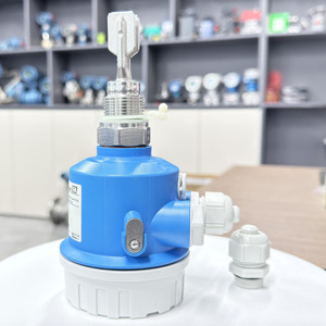 Interruptor de Nivel Vibratorio FTL50 Original de Endress+Hauser para Detección Confiable de Sólidos a Granel, Diseño para la Construcción - Product Image 5