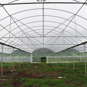 Serra Agricola Intelligente Commerciale Multicampata con Copertura in Film PO/PE per la Protezione delle Piante in Vendita - Product Image 2