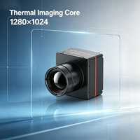 Caméra thermique infrarouge ISE1212 directe usine, capteur micro-module infrarouge automobile pour prise en charge SDK multiplateforme