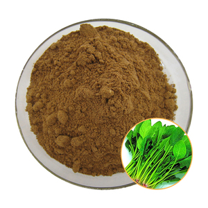 Ispanak özü tozu 10:1, 20:1, 30:1; Suda çözünür ıspanak tozu (belirtilen oranlarda ekstrakte edilir); Sprey özü tozu. - Product Image 1