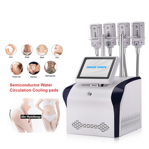 Máquina de Contorno Corporal Multiplaca de 4 Almohadillas, Directo de Fábrica 2026 |   Reducción de Grasa y Reafirmación Directo de Fábrica - Product Image 4