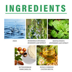 Precio al por mayor 100% aceite esencial de menta de Romero puro para el crecimiento de la reparación del cabello y aromaterapia - Product Image 6