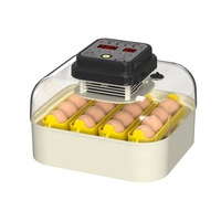 Vente flash Nouveau modèle Incubateur à œufs automatique intelligent pour 30 œufs Fenêtre transparente Poulet Volaille