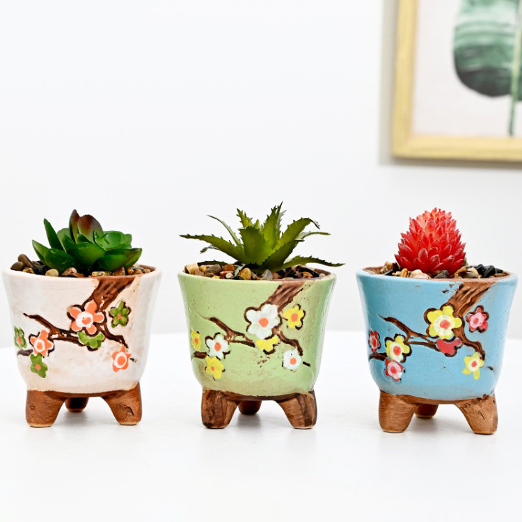 grow san pedro cactus San Pedro Cactus Stand (3-5 Branches)