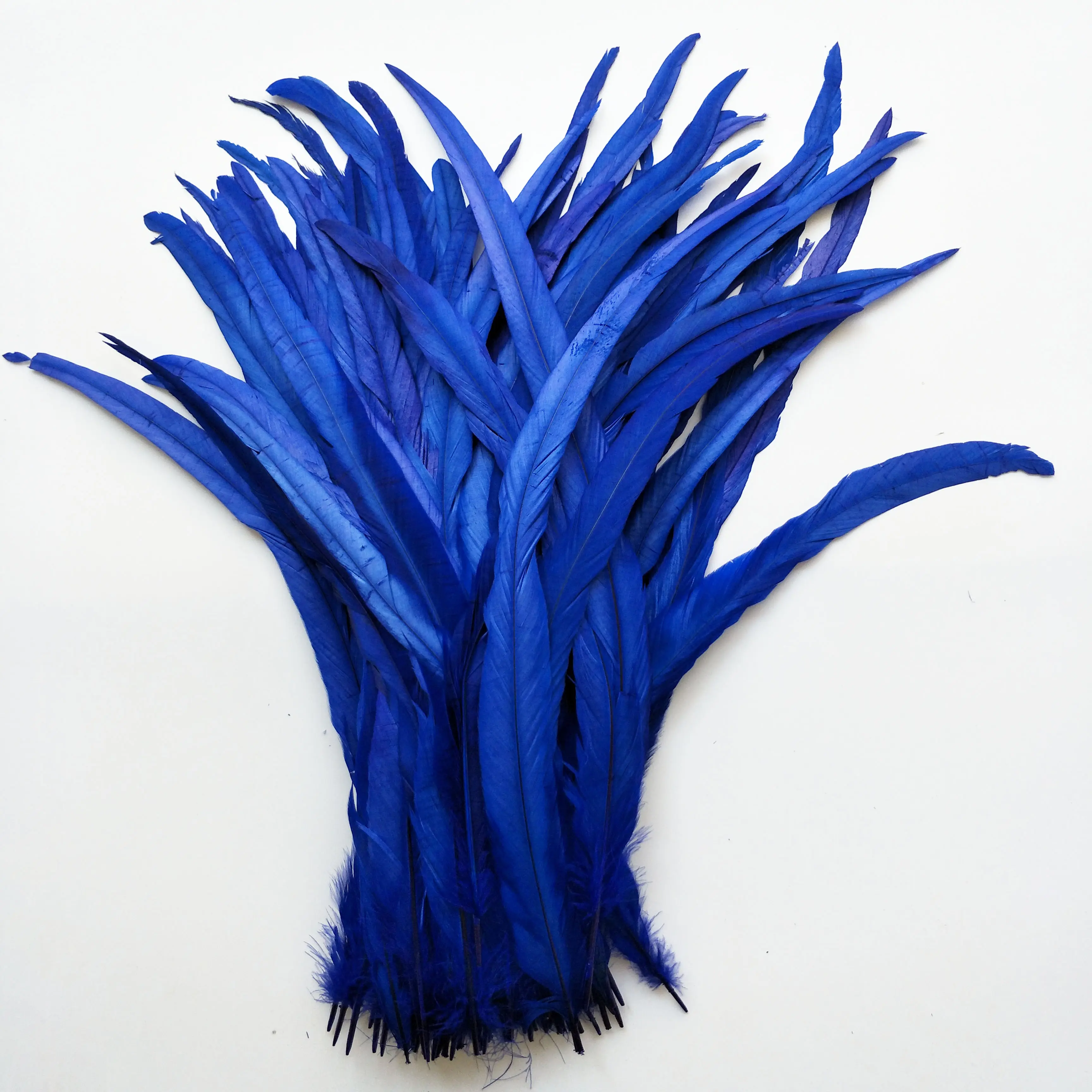 high quality cheap bleached and dyed assorted colors 40-45 cm rooster Tail Feathers in Stock