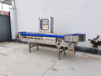 Automatische gewichtssorteermachine groothandelsprijs sorteermachine gewichtssorteermachine grader voor vis garnalen
