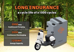 Lezet 48V 25Ah LiFePO4 elektrische fietsbatterij, op maat gemaakte lithium-ion accu voor 2/3-wielige scooter - Product Image 2