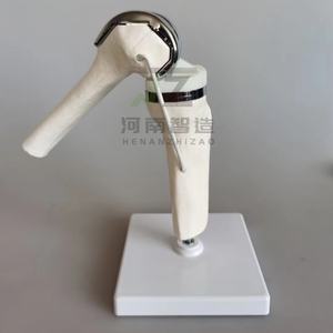 Modèle d'articulation du genou artificielle, modèle artisanal pour l'enseignement médical - Product Image 5