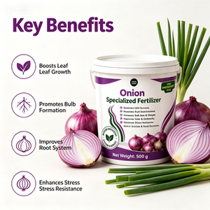 <span class=keywords><strong>Engrais</strong></span> granulaire premium 500g pour oignon, enrichi en calcium et zinc, améliore la tolérance au stress des cultures, optimise la qualité de stockage des bulbes - Product Image 6