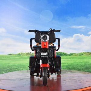 Triciclo Elettrico per Adulti a <span class=keywords><strong>3</strong></span> <span class=keywords><strong>Ruote</strong></span>, Risciò a Batteria, Prezzo Conveniente - Product Image 3