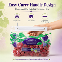 Sac à soufflet durable en PET/CPP de qualité alimentaire avec trou de poignée, emballage composite pour fruits (raisins)