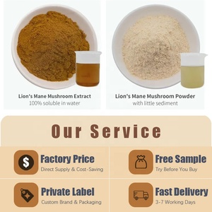 مسحوق ماني الأسد بالجملة مسحوق أسود ماني عضوي نقي بالجملة - Product Image 3