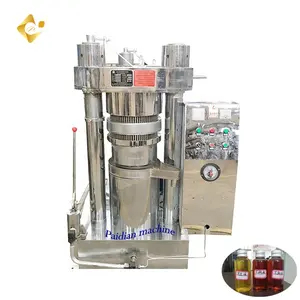 Factory Supply Almond Oil Press Machine/olive Oil Press/small Cocoa Butter Hydraulic Oil Press Machine Peanut Oil Press