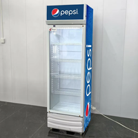 Réfrigérateur commercial à porte vitrée mécanique à température unique pour boissons