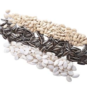 <span class=keywords><strong>Graines</strong></span> <span class=keywords><strong>de</strong></span> <span class=keywords><strong>tournesol</strong></span> Type 361 363 60 T6 - Product Image 3