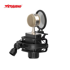 797Audio CR632 34mm Large Diaphragm Capsule Handheld Condenser Microphone with High Sensitivity XLR Connection for Studio Use - Product Image 2