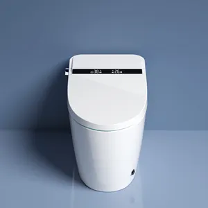 Quadratische einteilige Toilette Sanitär Wc Commode Smart Painted Black Toilette