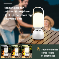 Portable rvb BT haut-parleur lecteur de musique Camping lampe contrôle tactile batterie Rechargeable nouvelle veilleuse pour Table de chevet lumière LED