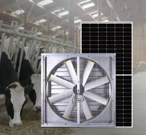Endüstriyel egzoz fanı güneş enerjili fırçasız dc motor tahrikli sera havalandırma ve soğutma özü fan hayvancılık