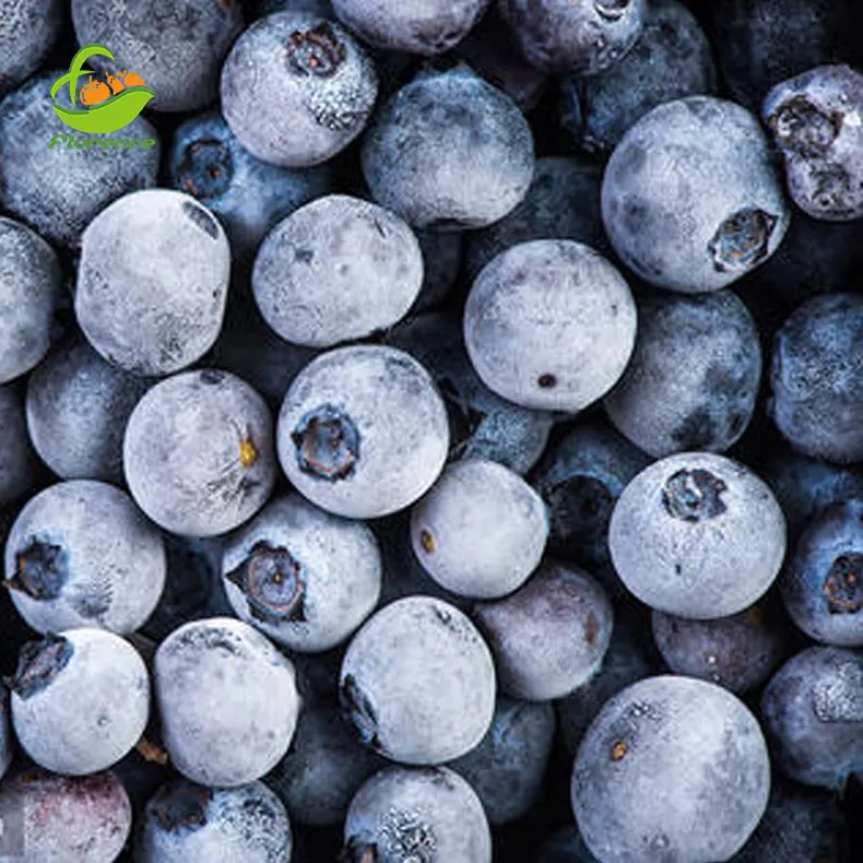 Import Bulk Beeren Früchte Preise Gefrorene frische Blaubeeren Iqf gefrorene Blaubeere